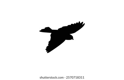 Flying Snowfinch Bird Silhouette Design  And Vector Illustration. 