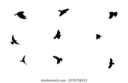 Flying Snowfinch Bird Silhouette Design  And Vector Illustration. 