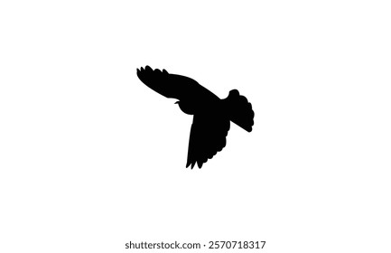 Flying Snowfinch Bird Silhouette Design  And Vector Illustration. 