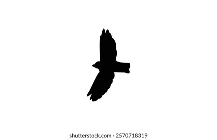 Flying Snowfinch Bird Silhouette Design  And Vector Illustration. 