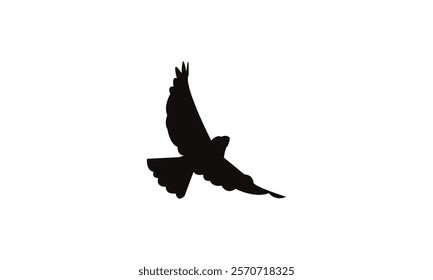 Flying Snowfinch Bird Silhouette Design  And Vector Illustration. 