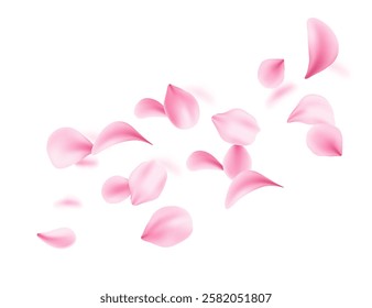 Flying soft pink petals scattered in air. 3d realistic style. Blossom Leaf collection varied shapes. Vector illustration isolated on white background
