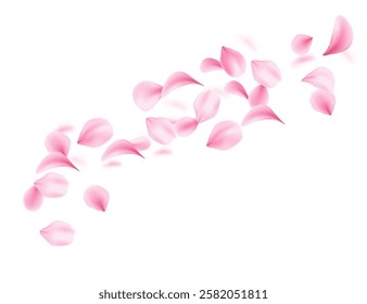 Flying soft pink petals scattered in air. 3d realistic style. Blossom Leaf collection varied shapes. Vector illustration isolated on white background
