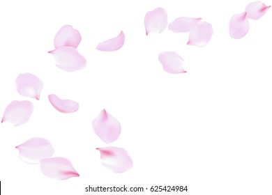Flying soft pink rose petals. Delicate flowers blossom, blooming floating falling wind, vector background art