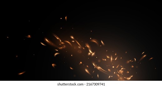 flying sparks design vector illustration on black background