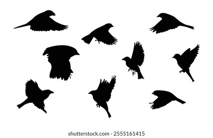 Flying Sparrow Bird Silhouette Design  And Vector Illustration. 

