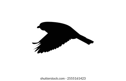 Flying Sparrow Bird Silhouette Design  And Vector Illustration. 
