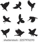Flying Sparrow Silhouette Vector Art.