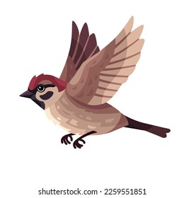 Flying sparrow vector flat illustration isolated on white background. bird cartoon character.