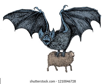 Flying spooky giant vampire bat caught a sheep. Hand drawn vintage engraving style vector illustration. Fantasy design for sticker, poster, t shirt print, tattoo.