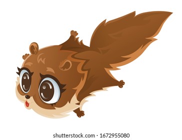 ardilla voladora , ilustración vectorial de dibujos animados.