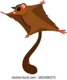 Flying squirrel, illustration, vector on white background