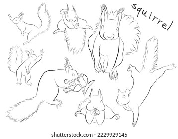 flying squirrel set vector illustration