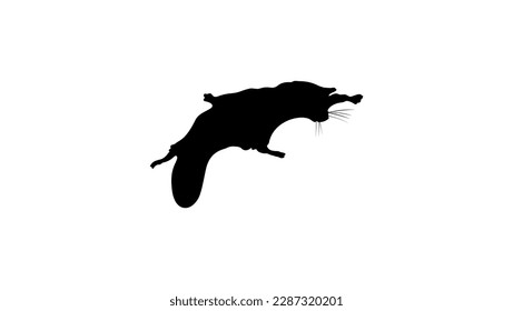 Flying squirrel silhouette, high quality vector