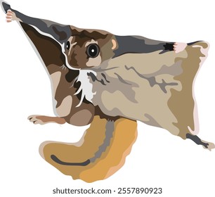 Flying Squirrel Small Mammal Animal Vector