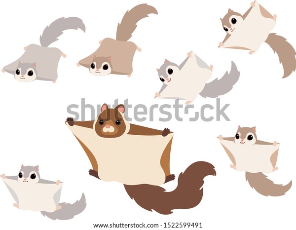 Flying squirrels illustration set (Japanese\
giant flying squirrel, Japanese lesser flying squirrel, Russian\
flying squirrel)