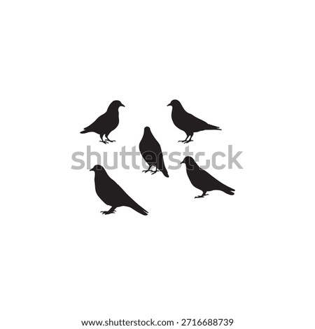 Flying and standing bird silhouettes, clean black vector illustration