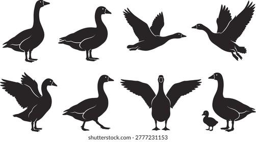 Flying and standing goose silhouettes, wild waterfowl bird icons, farm poultry collection, nature bird life, isolated gander graphics, geese shapes.