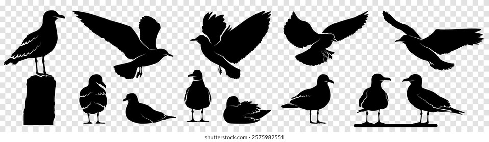 Flying and standing seagulls birds silhouette black set isolated on transparent background