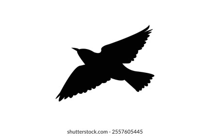Flying Starling Bird Silhouette Design  And Vector Illustration. 