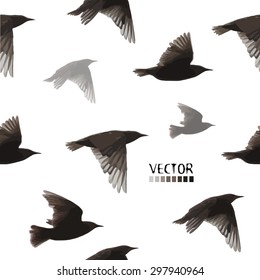 flying starling. Seamless background.  Vector