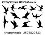 Flying Sterna bird silhouette vector illustration set