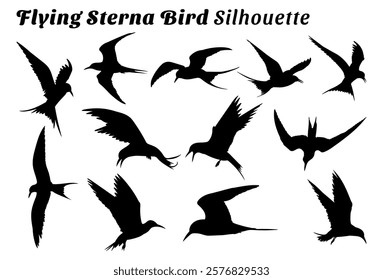 Flying Sterna bird silhouette vector illustration set