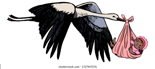 Flying stork with a dark skinned baby. Sketch of crane with newborn. Hand drawn vector illustration in vintage style isolated on white. Cute illustration for postcards, decor, design, prints, posters.