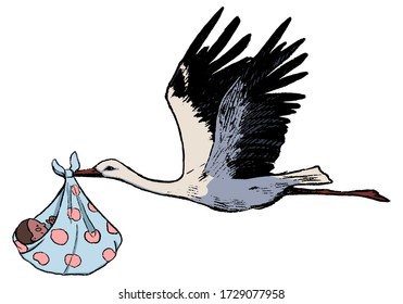 Flying stork with a dark skinned baby. Sketch of crane with newborn. Hand drawn vector illustration in vintage style isolated on white. Cute illustration for postcards, decor, design, prints, posters.