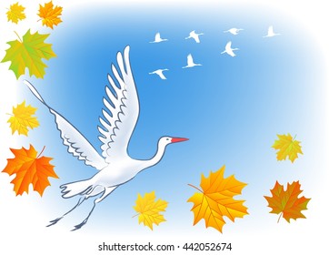 Flying stork on background of  blue sky and falling maple leaves