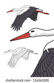 Flying stork set, vector illustration
