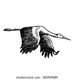 flying stork sketch - vector