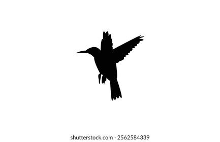 Flying Sunbird Silhouette Design  And Vector Illustration. 