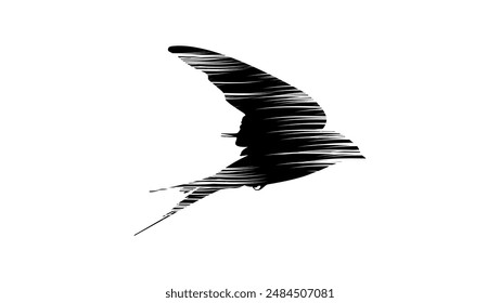 flying swallow in bad weather, black isolated silhouette