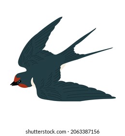 Flying swallow bird. Vector hand drawn flat illustration. Isolated on white background.