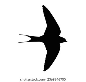 Flying swallow bird vector illustration - black and white outline and silhouette.