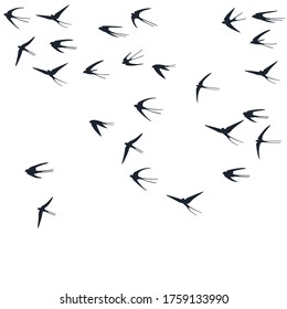 Siluetas de aves tragaperras voladoras ilustran vectores. Grupo de mercados migratorios aislado en blanco. El volante alado traga el arte de la línea. Aves guapas con diseño gráfico del cielo. Fondo de fauna.