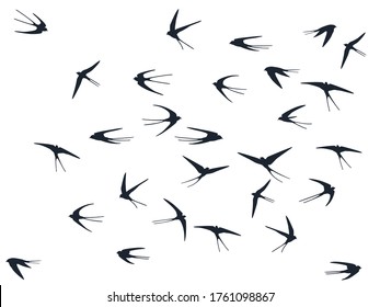 Flying swallow birds silhouettes vector illustration. Nomadic martlets flock isolated on white. Sailing flying swallows line art. Realistic birds in sky graphic design. Fauna background.