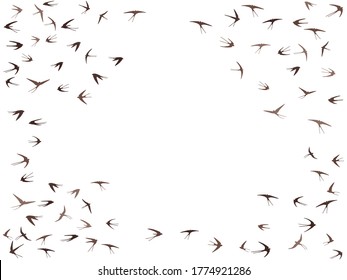 Flying swallow birds silhouettes vector illustration. Migratory martlets swarm isolated on white. Fast flying swallows line art. Rain birds in sky graphic design. Wildlife concept.