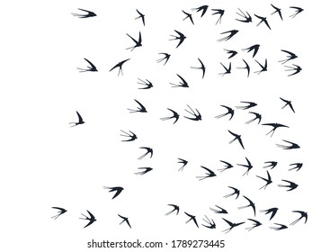 Flying swallow birds silhouettes vector illustration. Migratory martlets school isolated on white. Free flying swallows line art. Realistic birds in sky graphic design. Wildlife concept.