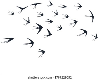 Flying swallow birds silhouettes vector illustration. Migratory martlets bevy isolated on white. Alar flying swallows line art. Rain birds in sky graphic design. Wildlife concept.