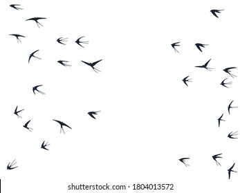Flying swallow birds silhouettes vector illustration. Nomadic martlets bevy isolated on white. Soaring flying swallows line art. Little birds in sky graphic design. Wildlife concept.