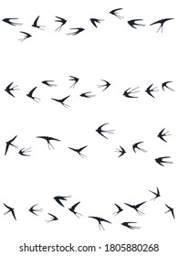 Flying swallow birds silhouettes vector illustration. Nomadic martlets flock isolated on white. Soaring flying swallows line art. Small birds in sky graphic design. Wildlife concept.