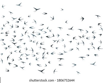 Flying swallow birds silhouettes vector illustration. Nomadic martlets school isolated on white. Soaring flying swallows line art. Many birds in sky graphic design. Wildlife concept.