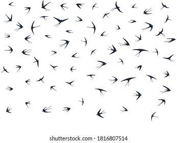 Flying swallow birds silhouettes vector illustration. Migratory martlets group isolated on white. Sailing flying swallows line art. Cute birds in sky graphic design. Fauna background.