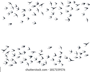 Flying swallow birds silhouettes vector illustration. Nomadic martlets group isolated on white. Pinioned flying swallows line art. Rain birds in sky graphic design. Fauna background.