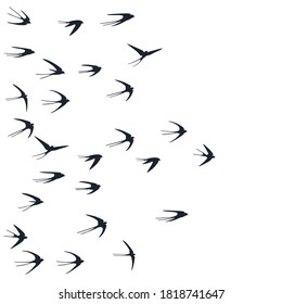 Flying swallow birds silhouettes vector illustration. Nomadic martlets flock isolated on white. Pinioned flying swallows line art. Realistic birds in sky graphic design. Fauna background.