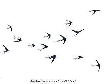 Flying swallow birds silhouettes vector illustration. Nomadic martlets bevy isolated on white. Rapid flying swallows line art. Small birds in sky graphic design. Wildlife concept.