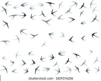 Flying swallow birds silhouettes vector illustration. Migratory martlets swarm isolated on white. Wingy flying swallows line art. Abstract birds in sky graphic design. Fauna background.