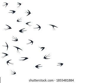 Flying swallow birds silhouettes vector illustration. Nomadic martlets swarm isolated on white. Alar flying swallows line art. Small birds in sky graphic design. Fauna background.